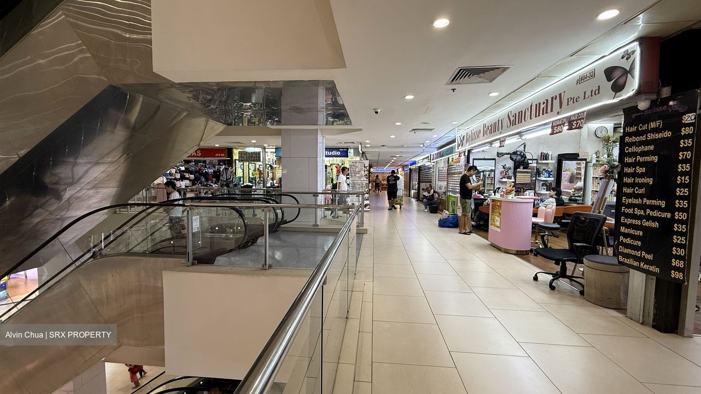 Lucky Plaza (D9), Retail #495208741